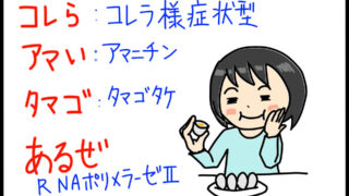 衛生学におけるコレラ様症状型キノコ毒のゴロイラスト